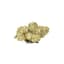 Governmint Oasis Buds 3.50 Gram