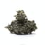 Gmo Cookies Buds 3.50 Gram