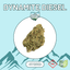 Dynamite Diesel Buds 3.50 Gram