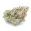 Gastro Pop Buds 28 Gram