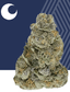 Mule Fuel Buds 7 Gram