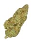 Champagne Supernova Buds 14 Gram