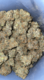 Galactic Jack Buds 28 Gram