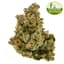 Walkabout Buds 3.50 Gram