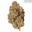 Double Runtz Buds 28 Gram