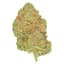 Black Jelly Buds 7 Gram