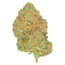 Black Jelly Buds 7 Gram