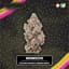 Momochi Buds 2.83 Gram