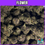 Toad Venom Buds 3.50 Gram