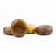 Root Beer Lozenges 100 Mg