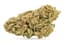Sweet Tea Buds 14 Gram
