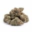 Zangbanger Buds 14 Gram
