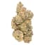 Black Garlic Buds 3.50 Gram