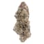 True Mints Buds 7 Gram
