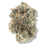 Honey Buzz Buds 3.50 Gram