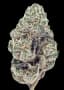 Godzilla Buds 3.50 Gram