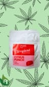 Tropical Fruit Gummies 100 Mg