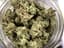 Dantes Inferno Buds 28 Gram