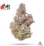 Blueberry Breath Buds 14 Gram