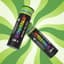 Grape Grenade 1 Pack Infused Pre Rolls 1.25 Gram