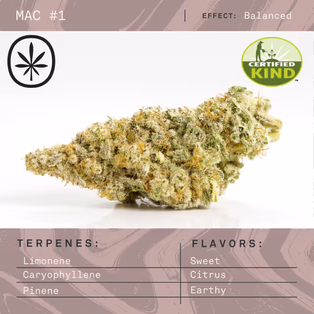 Mac 1 Buds 3.50 Gram
