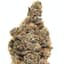 Blueberry Muffin Buds 3.50 Gram