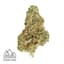 Banana Zkittlez Buds 1 Gram