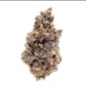 Snicklefritz Buds 28 Gram