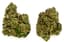 Face Off Buds 3.50 Gram