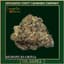 Interspecies Erotica Buds 14 Gram