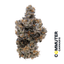 Grape Gary Buds 3.50 Gram