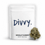 Blueberry Pie Buds 3.50 Gram
