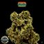 Miracle Mints Buds 3.50 Gram