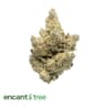 Black Dog Buds 28 Gram