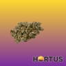 Sugar Rush Buds 28 Gram