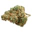 Day Tripper Buds 28 Gram