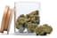 Blockberry Buds 28 Gram