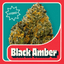 Black Amber Buds 14 Gram
