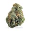 Lemon Skunk Buds 14 Gram