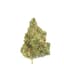Jungle Juice Buds 28 Gram