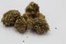 Yummy Buds 3.50 Gram