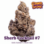 Sherb Cocktail #7 Buds 3.50 Gram