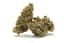 Gumbo Buds 3.50 Gram