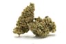 Gumbo Buds 3.50 Gram
