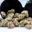 Coughy Cake Buds 14 Gram