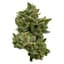 Puff, Puff, Pass Buds 28 Gram
