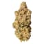 Lemonatti Buds 14 Gram