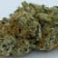 Blue Dream Buds 3.50 Gram