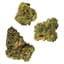 Florida Kush Buds 7 Gram