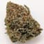 Shire 2.0 Buds 3.50 Gram